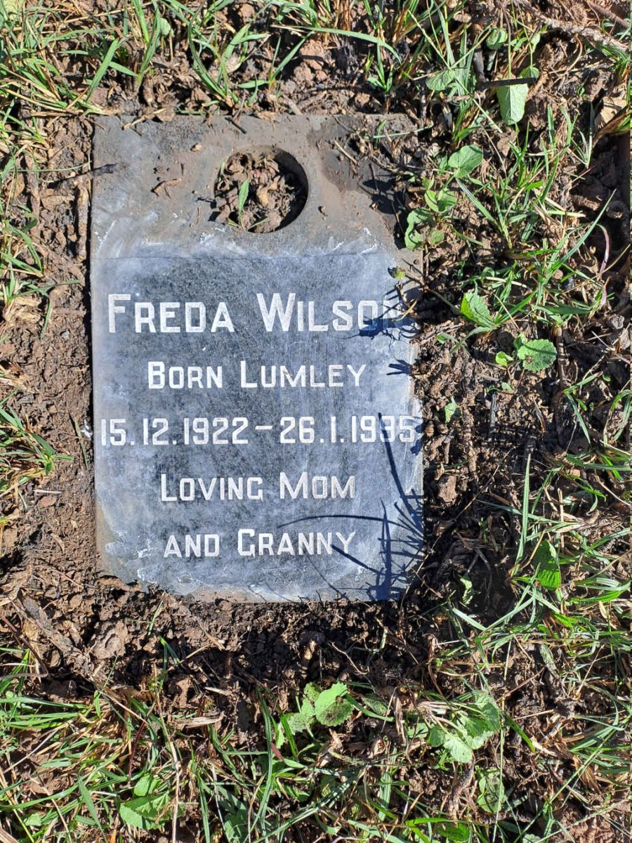 WILSON Freda nee LUMLEY 1922-1995