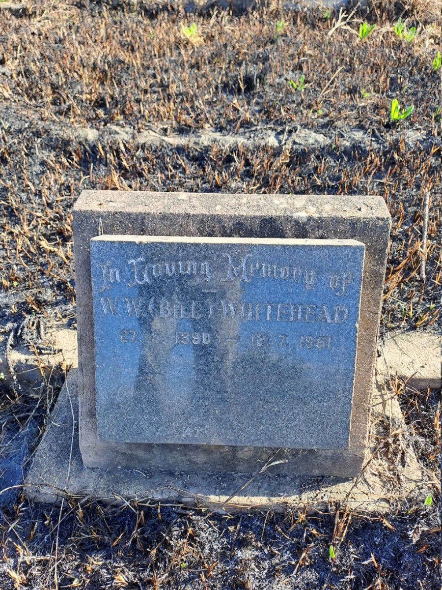 WHITEHEAD W.W. 1890-1951