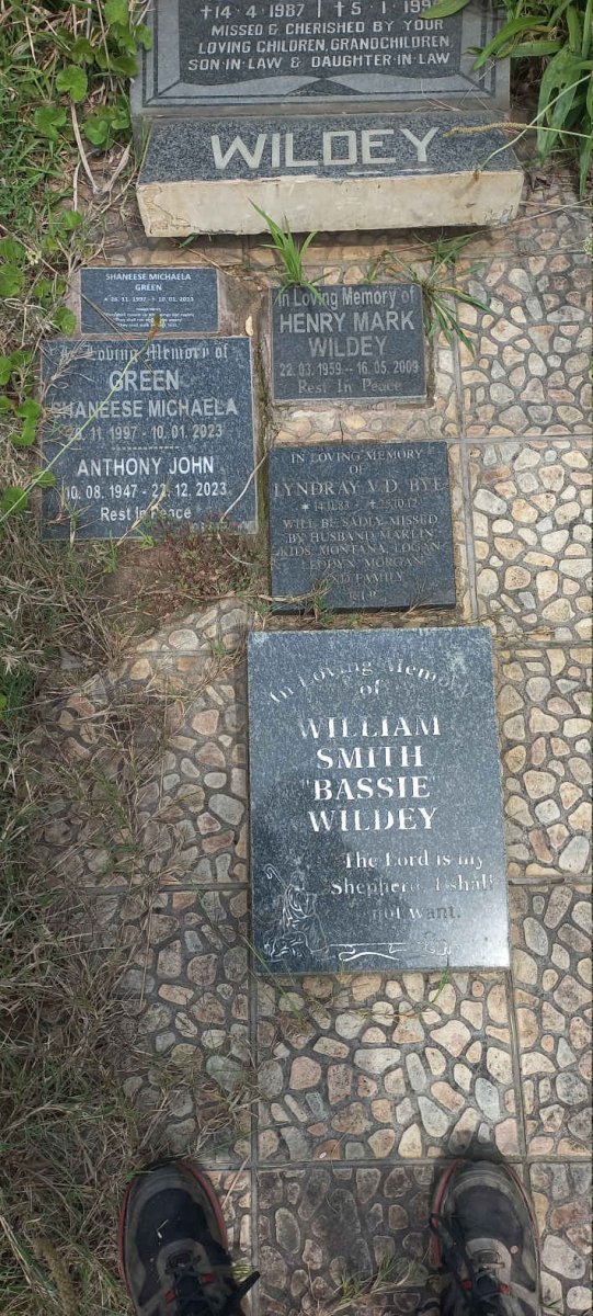 WILDEY :: GREEN :: V.D. BYL_2