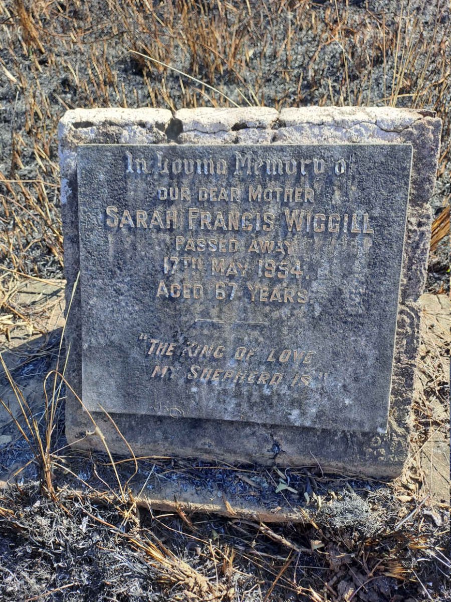 WIGGILL Sarah Francis -1954