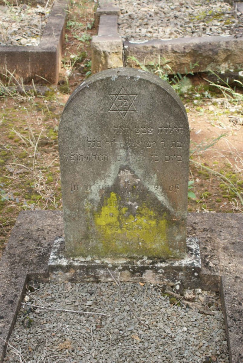 SEGAL