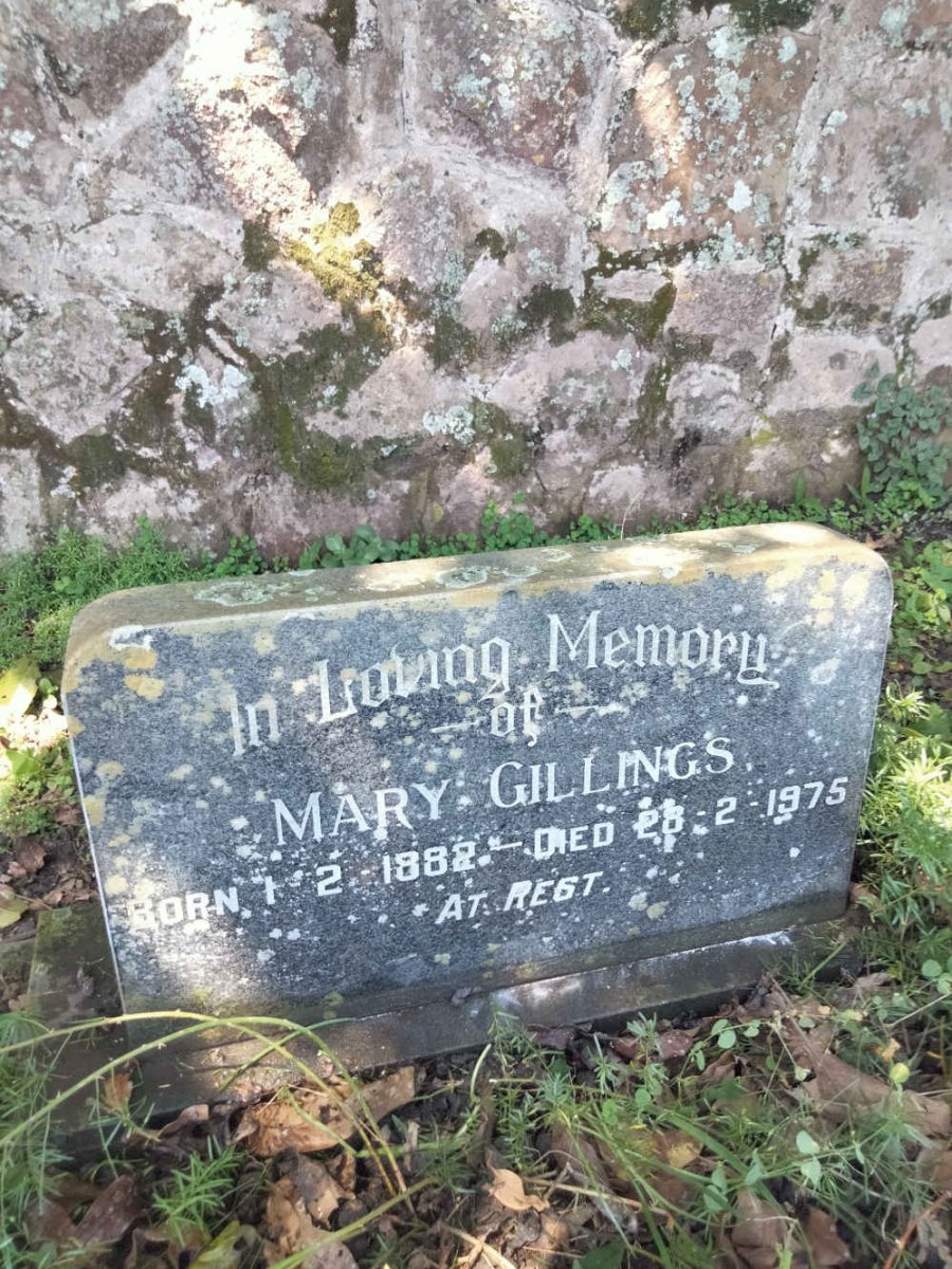 GILLINGS Mary 1882-1975