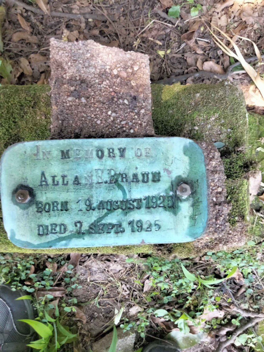 BRAUN Allan E. 1925-1925