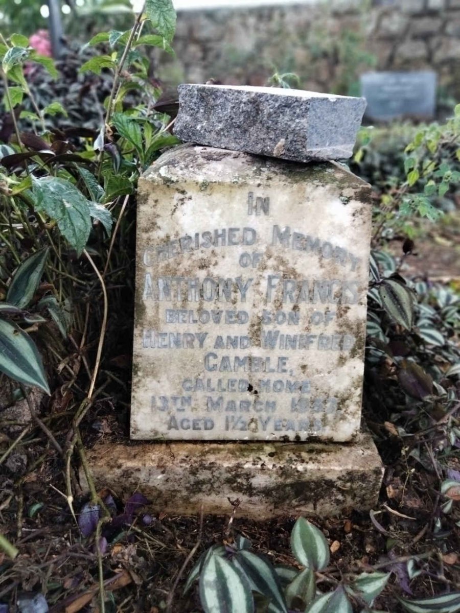 GAMBLE Anthony Francis 