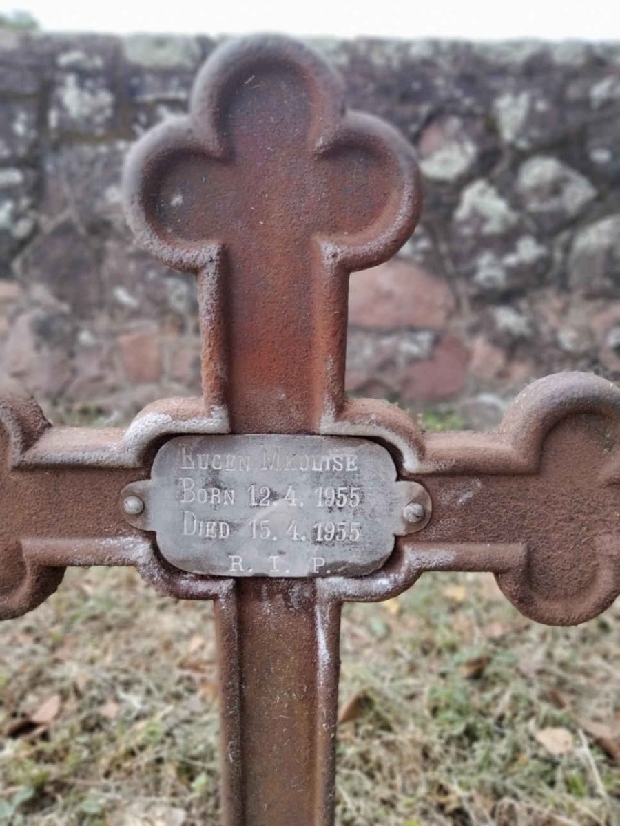 MKULISI Eugen 1955-1955