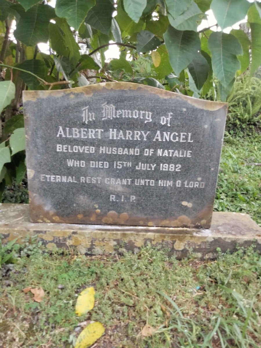 ANGEL Albert Harry -1982