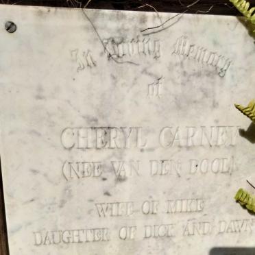 CARNEY Cheryl nee VAN DEN DOOL 1962-1995