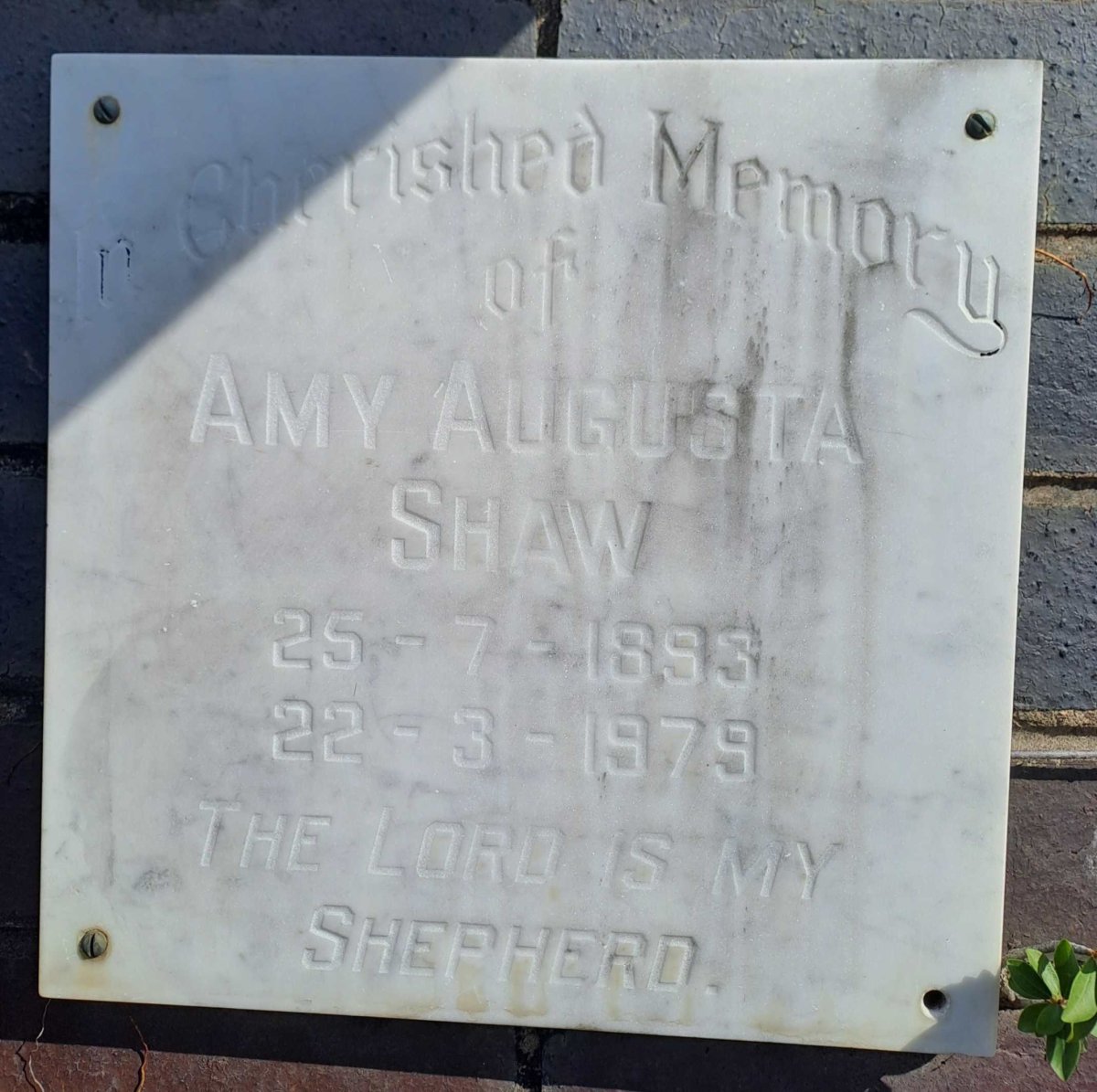 SHAW Amy Augusta 1893-1979