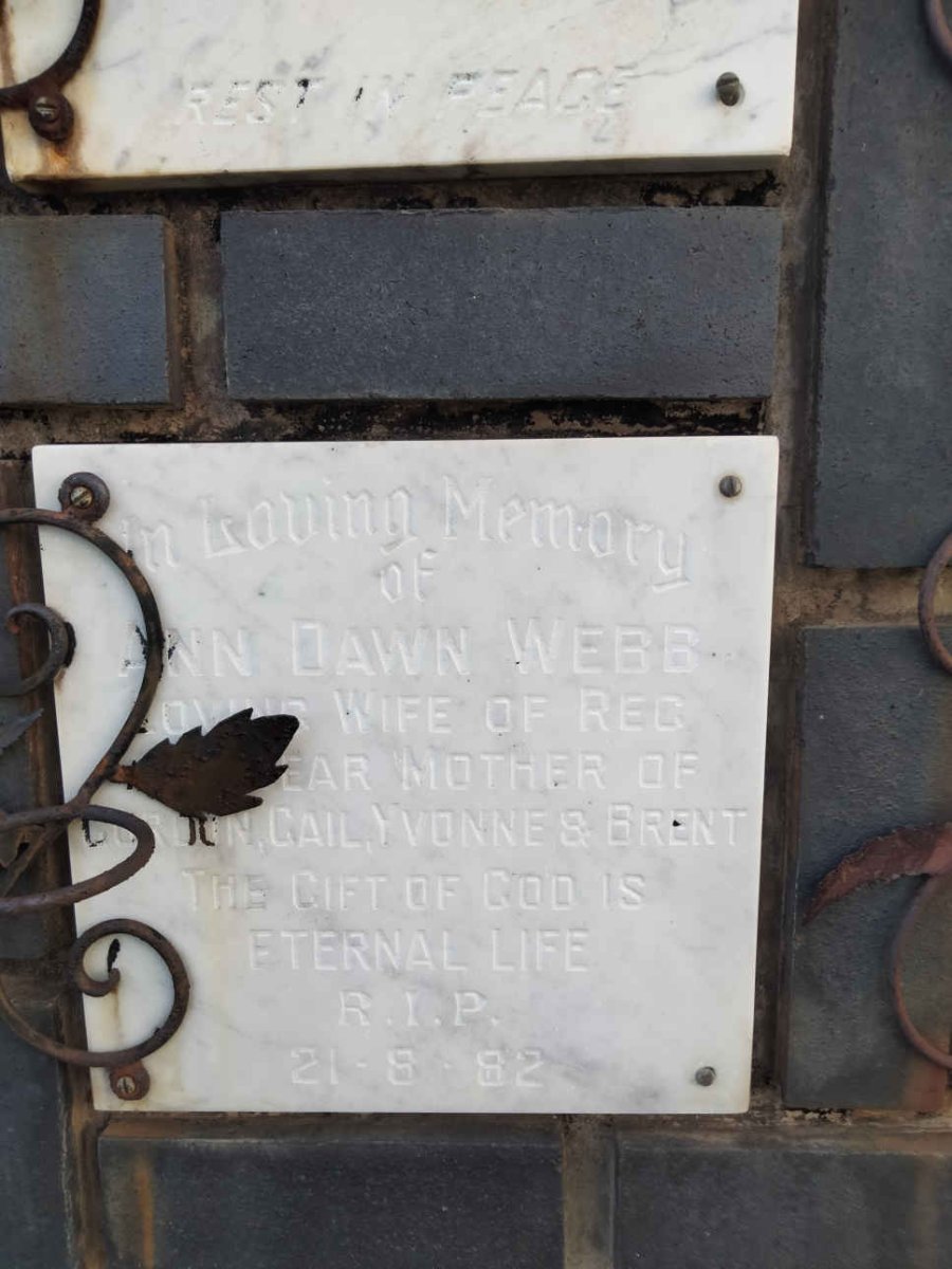 WEBB Ann Dawn -1982