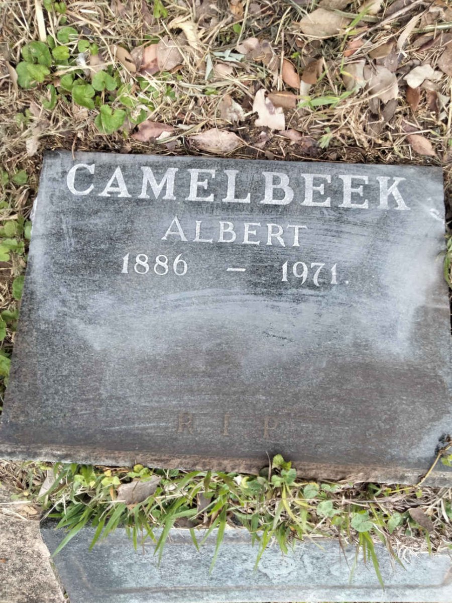 CAMELBEEK Albert 1886-1971