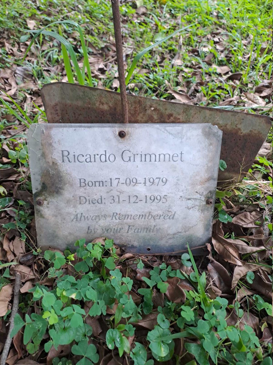 GRIMMET Ricardo 1979-1995