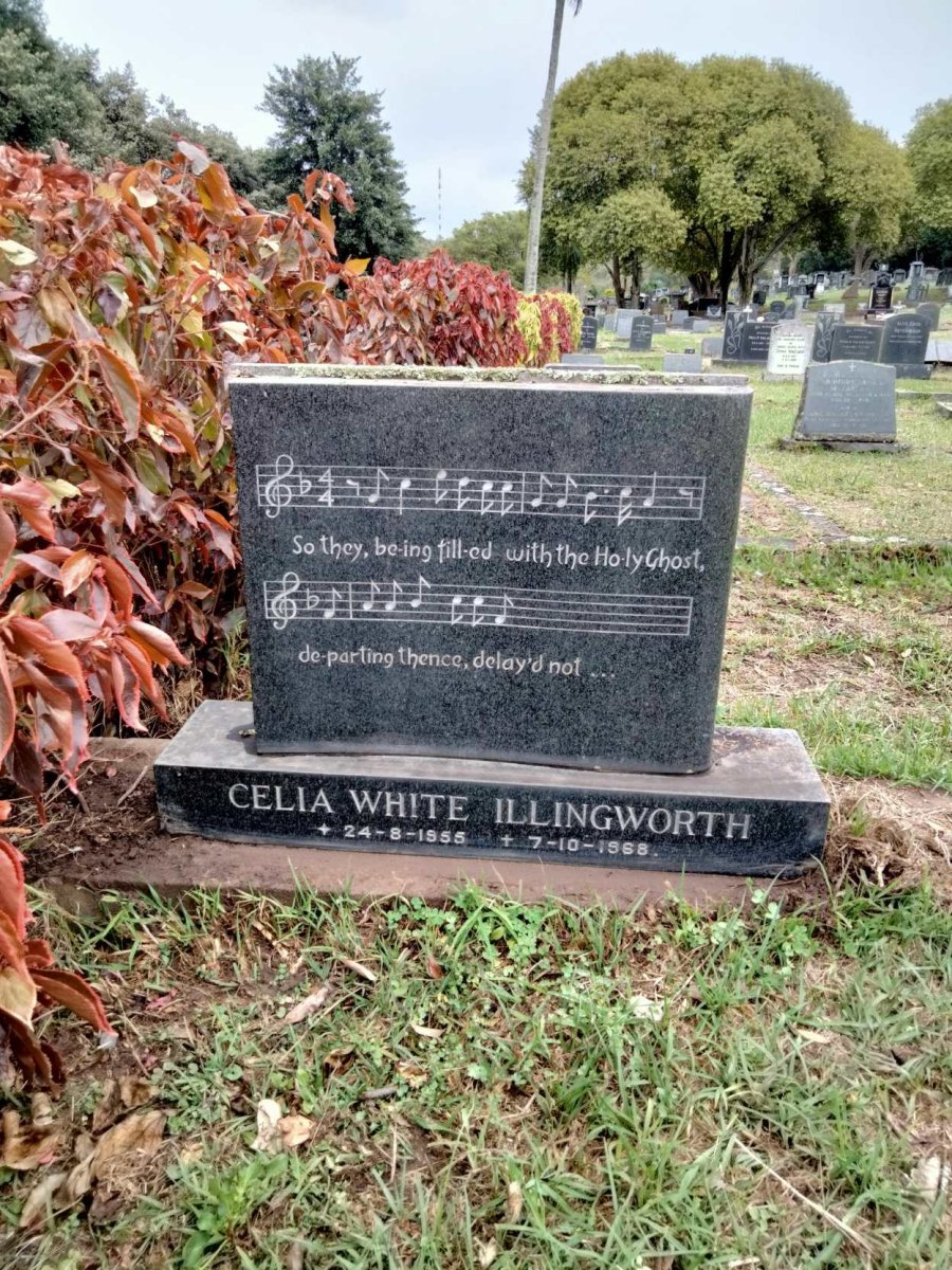ILLINGWORTH Celia White 1955-1968