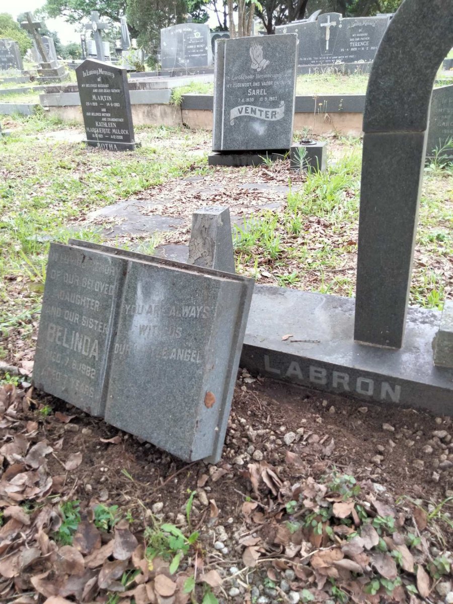 LABRON Belinda -1982