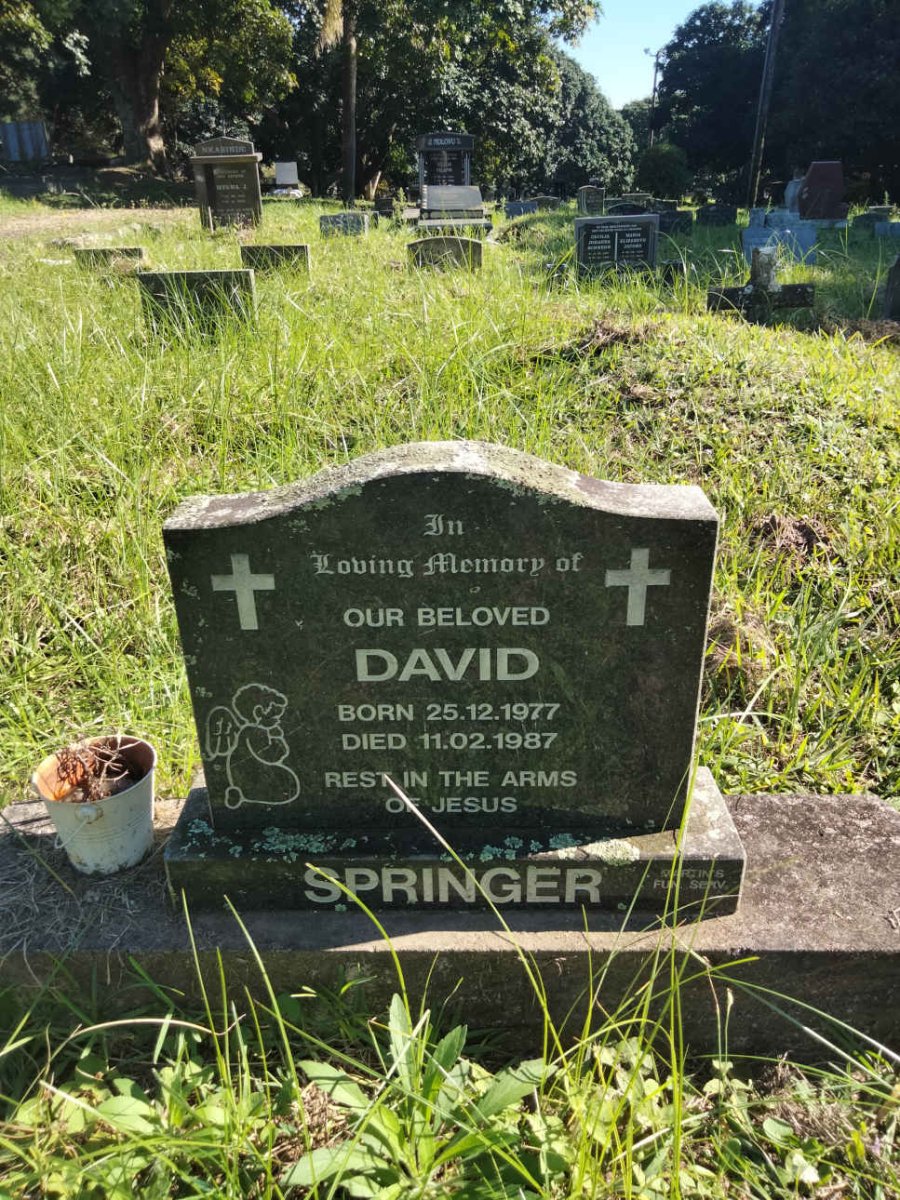 SPRINGER David 1977-1987