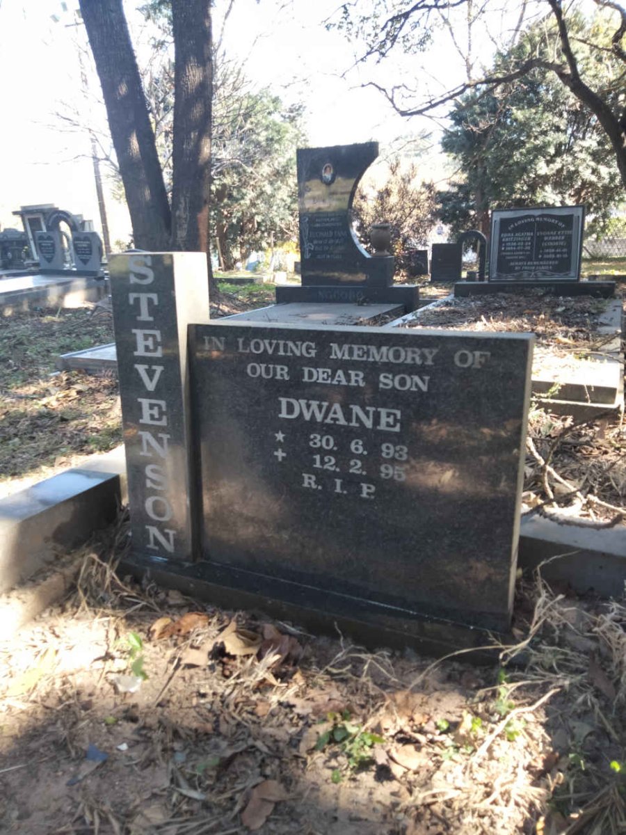 STEVENSON Dwane 1993-1995