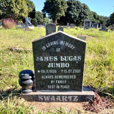 SWAARTZ James Lucas 1936-2001