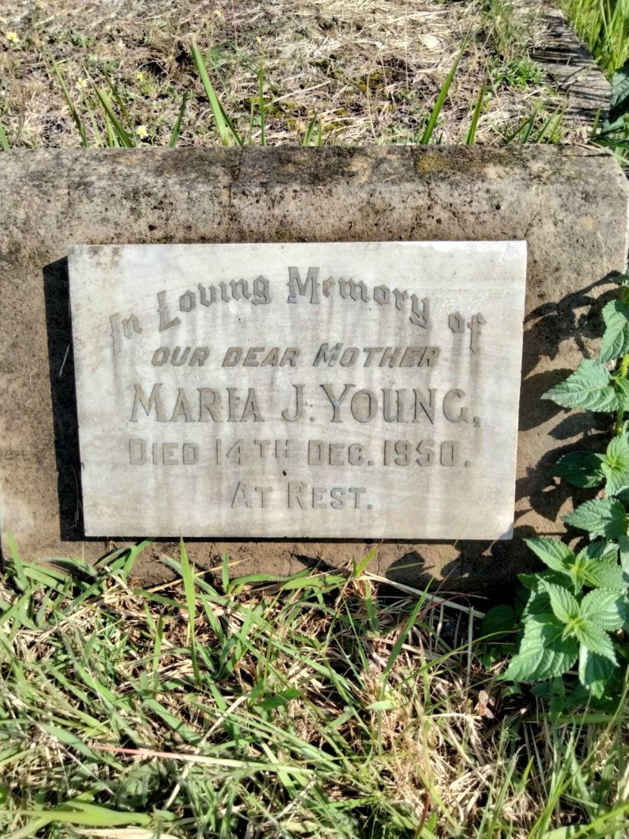 YOUNG Maria J. -1950