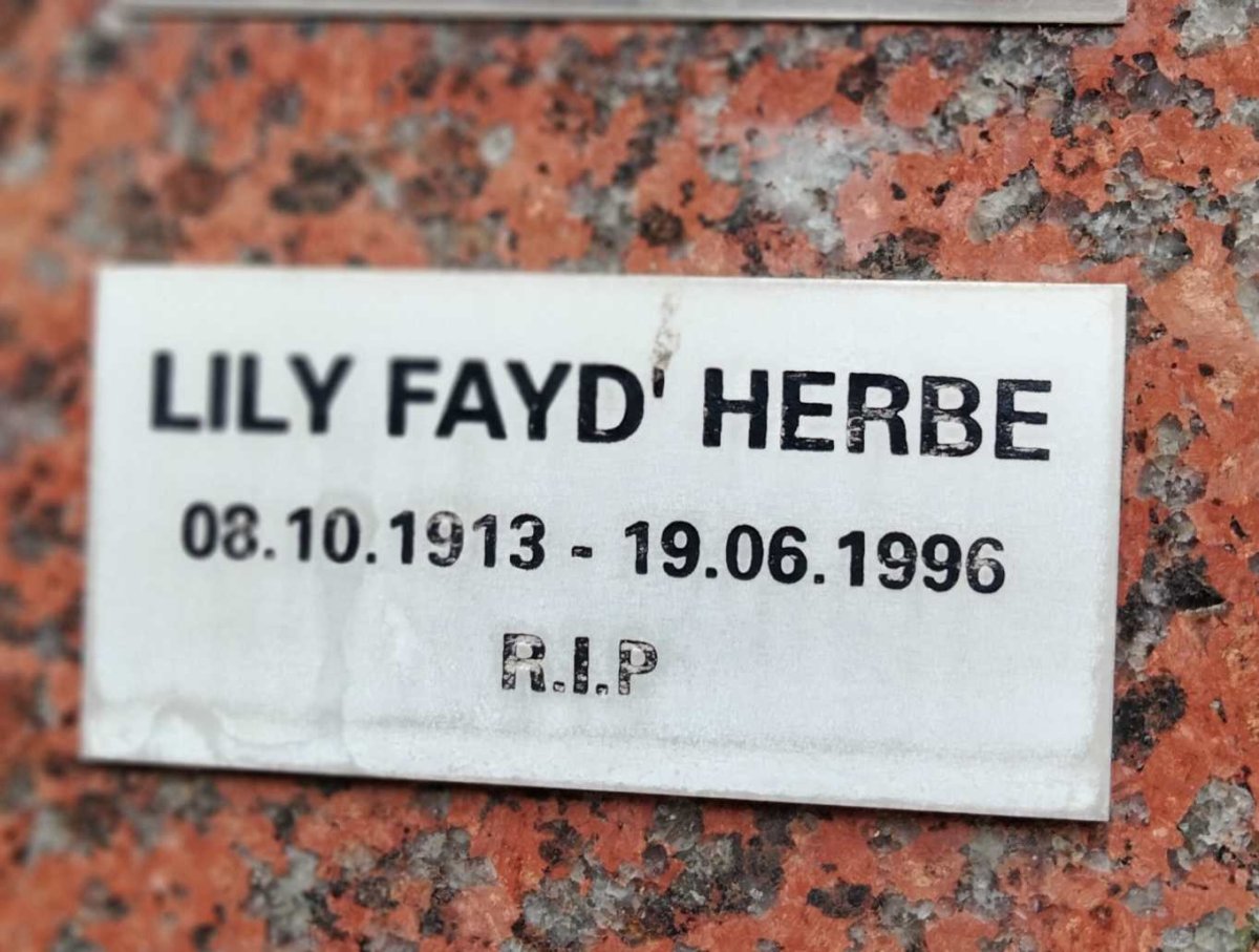 HERBE Lily Fayd 1913-1996