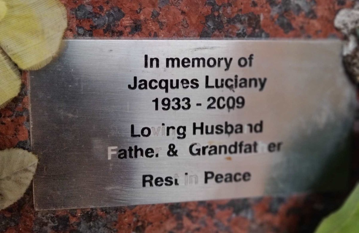 LUCIANY Jacques 1933-2009