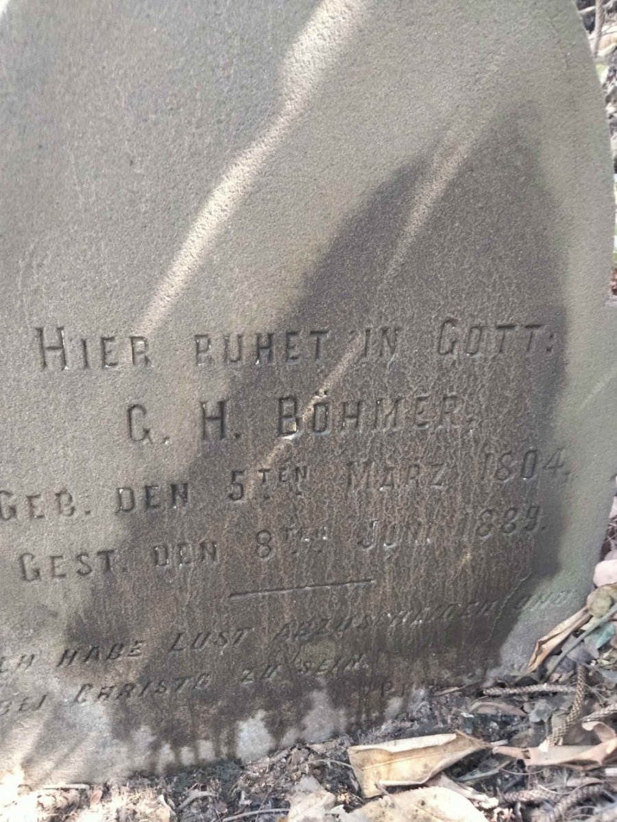 BOHMER G.H. 1804-1889