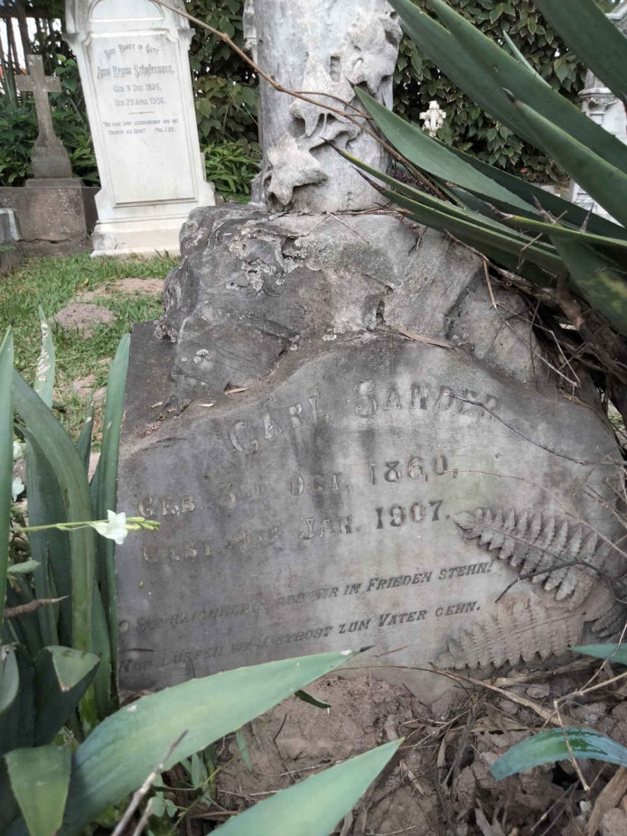 SANDER Carl 1860-1907