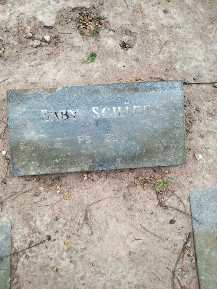 SCHARF