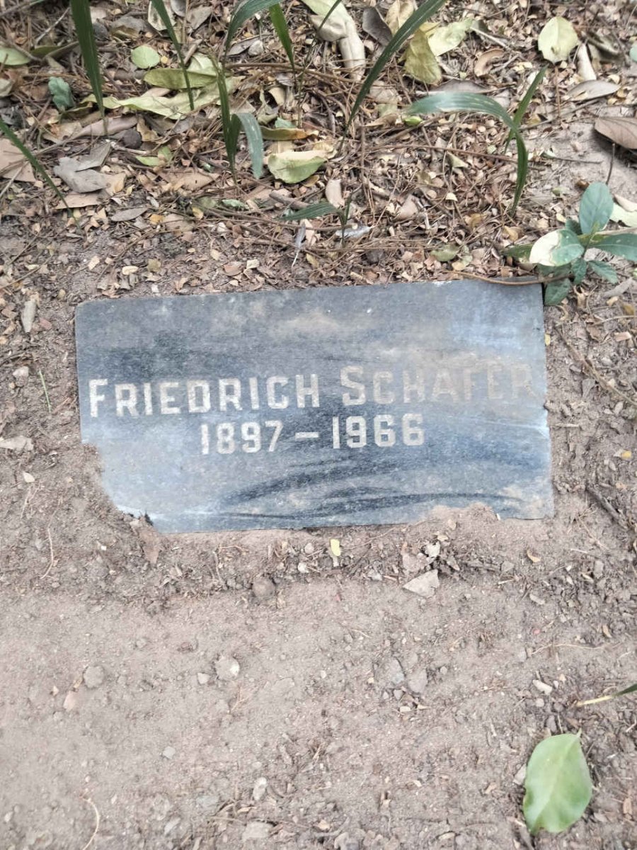 SCHAFER Friedrich 1897-1966