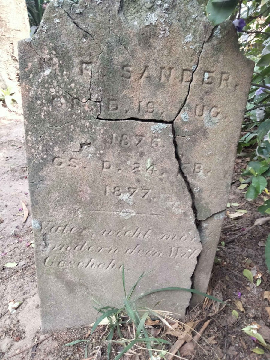 SANDER ?.F. 1876-1877