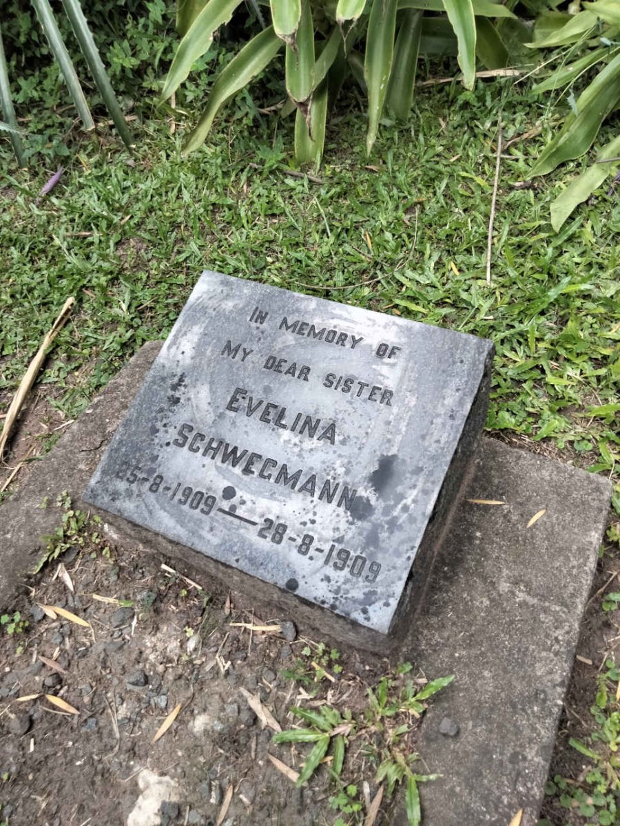 SCHWEGMANN Eveline 1909-1909
