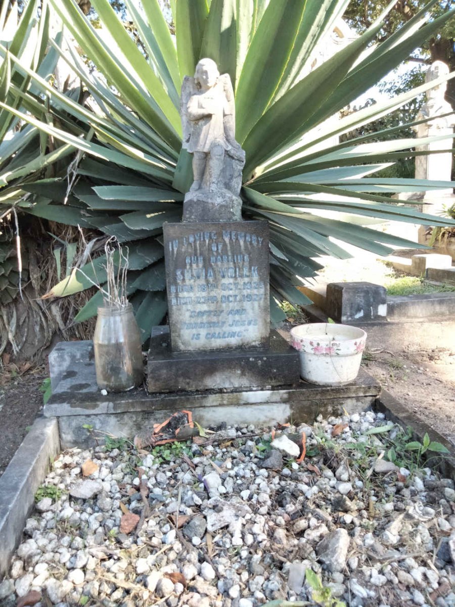 VOLEK Silvia 1925-1927