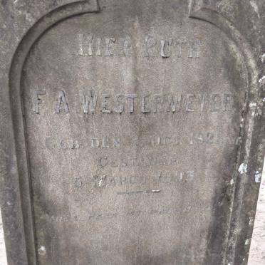 WESTERMEYER F.A. 1821-1893