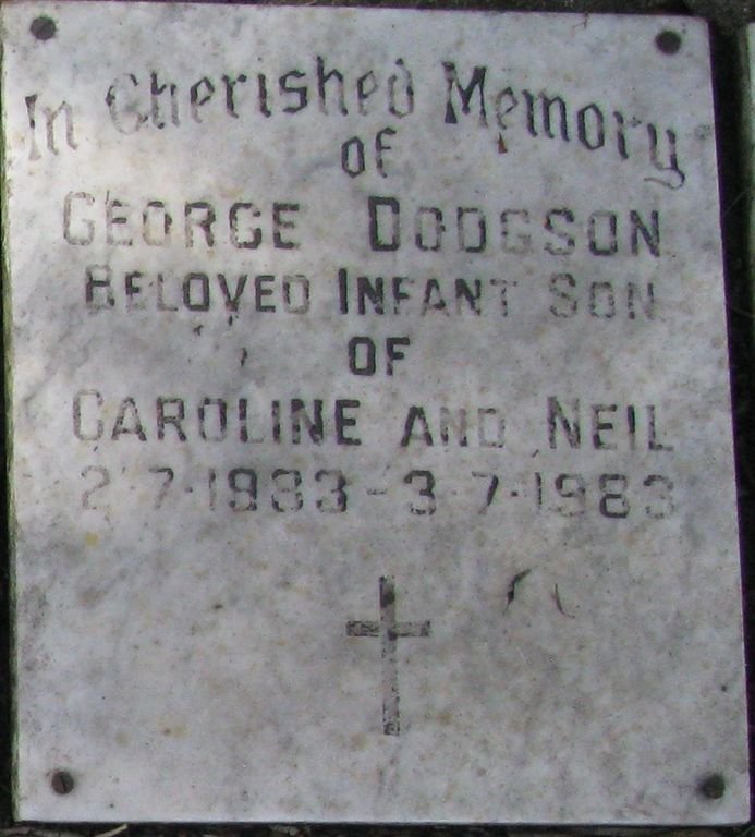 DODGSON George 1983-1983
