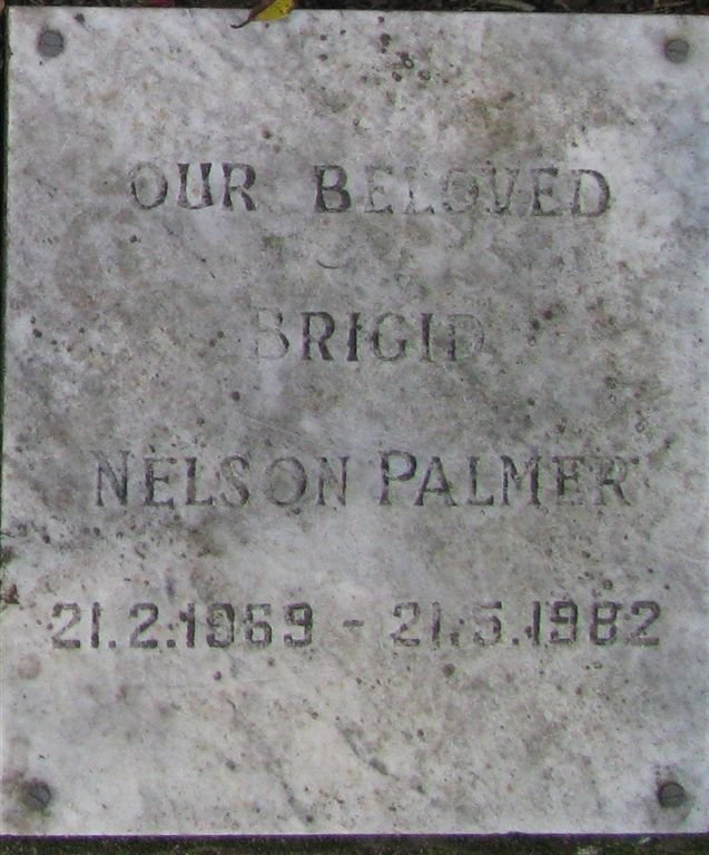 PALMER Nelson 1969-1982