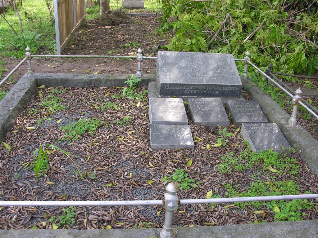 2. Overview on ROYSTON family plot