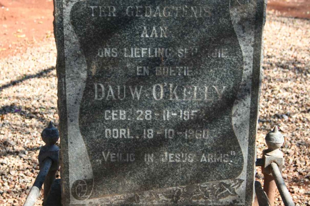 O'KELLY Dauw 1954-1960