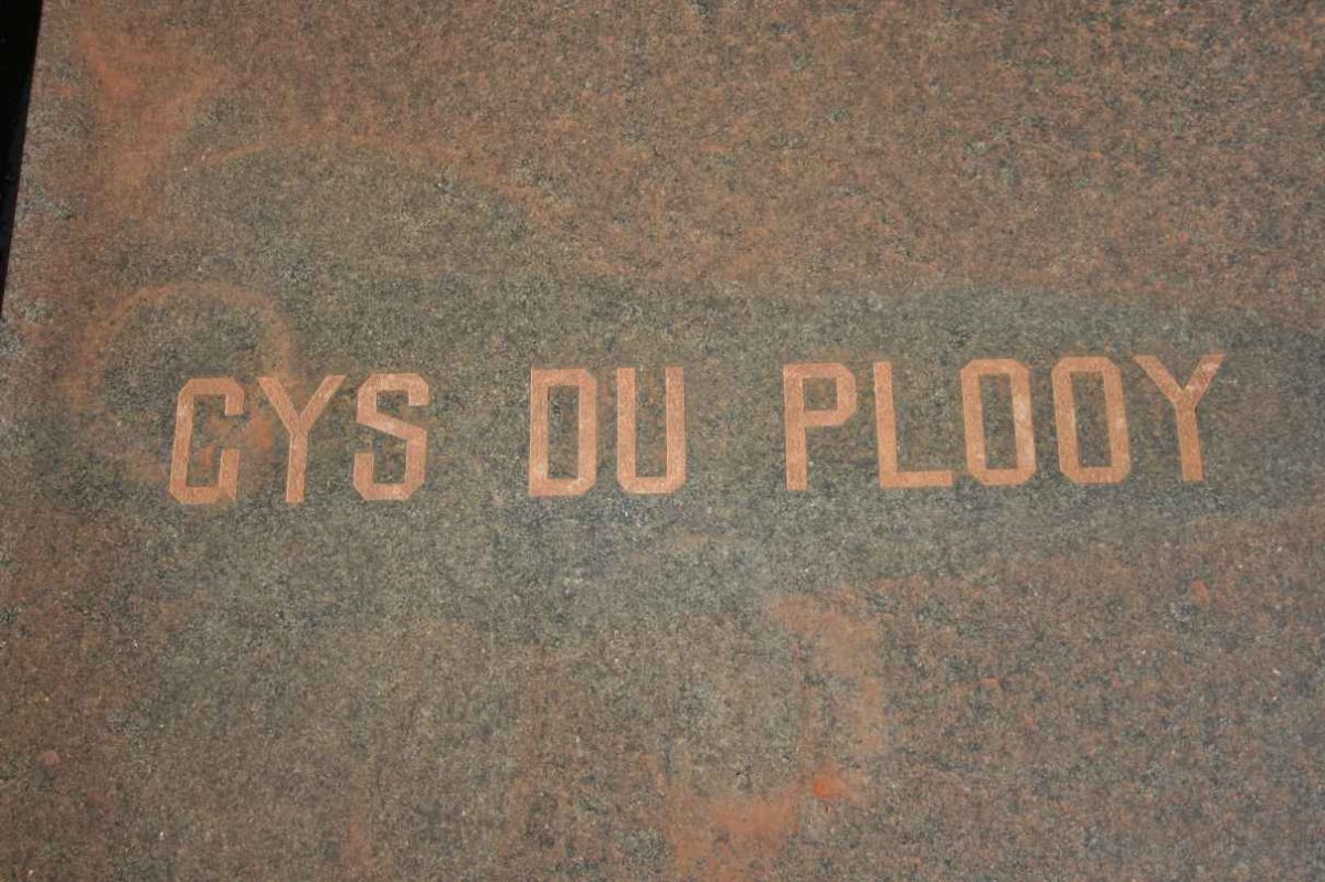 PLOOY Gys, du