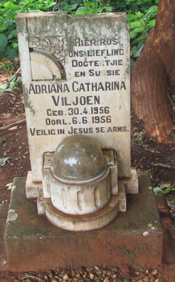 VILJOEN Adriana Catharina 1956-1956