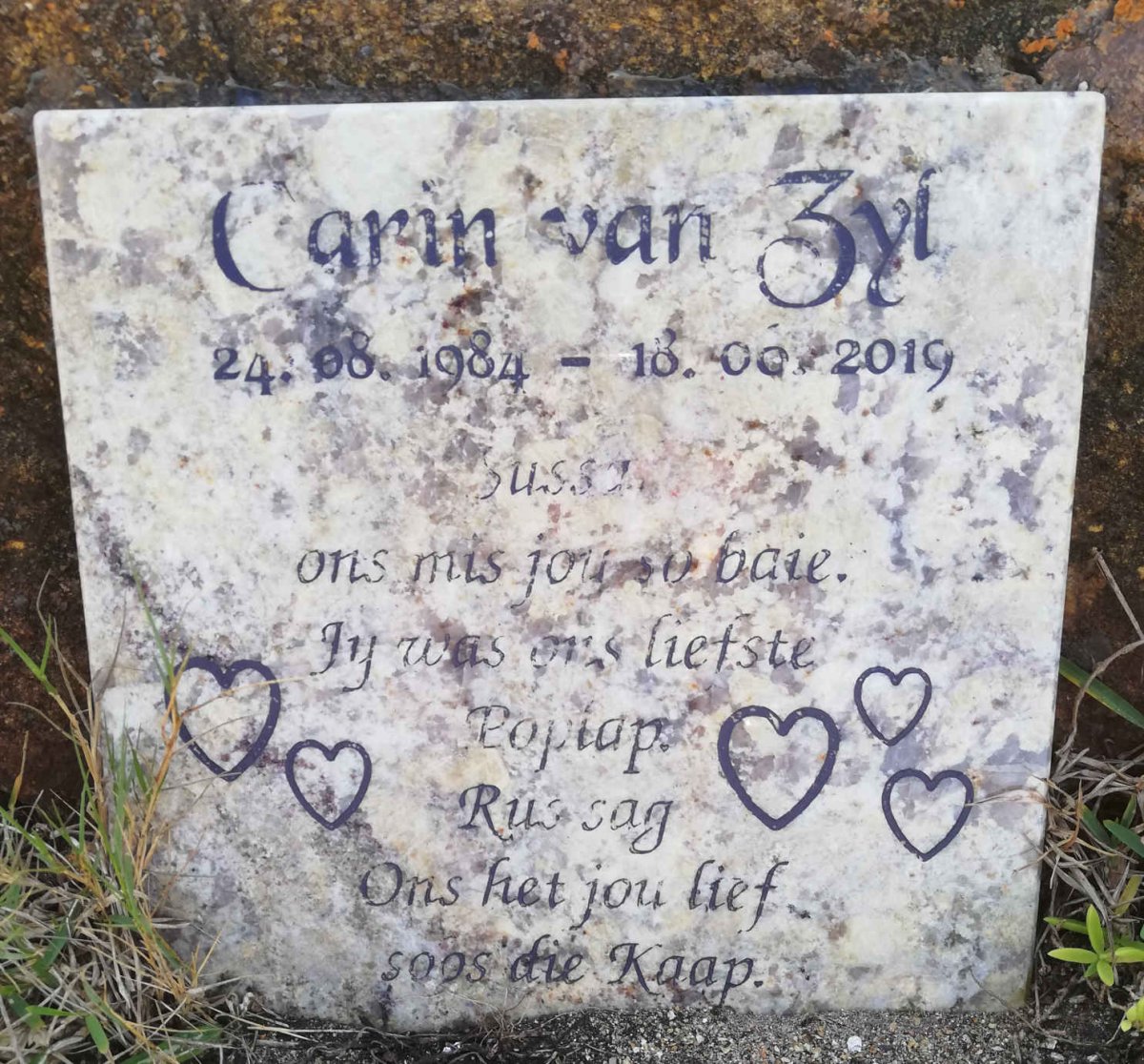 ZYL Carin, van 1984-2019