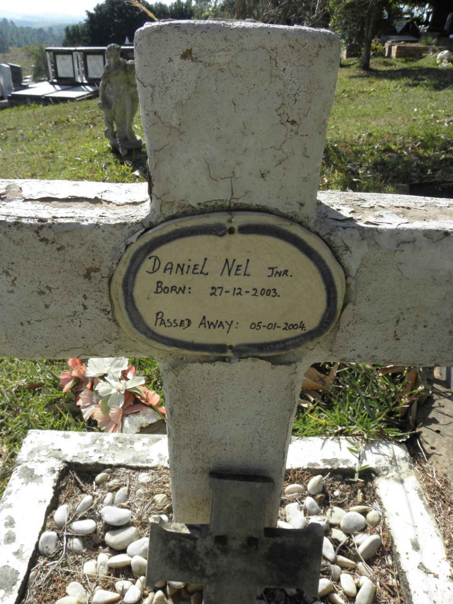 NEL Daniel 2003-2004