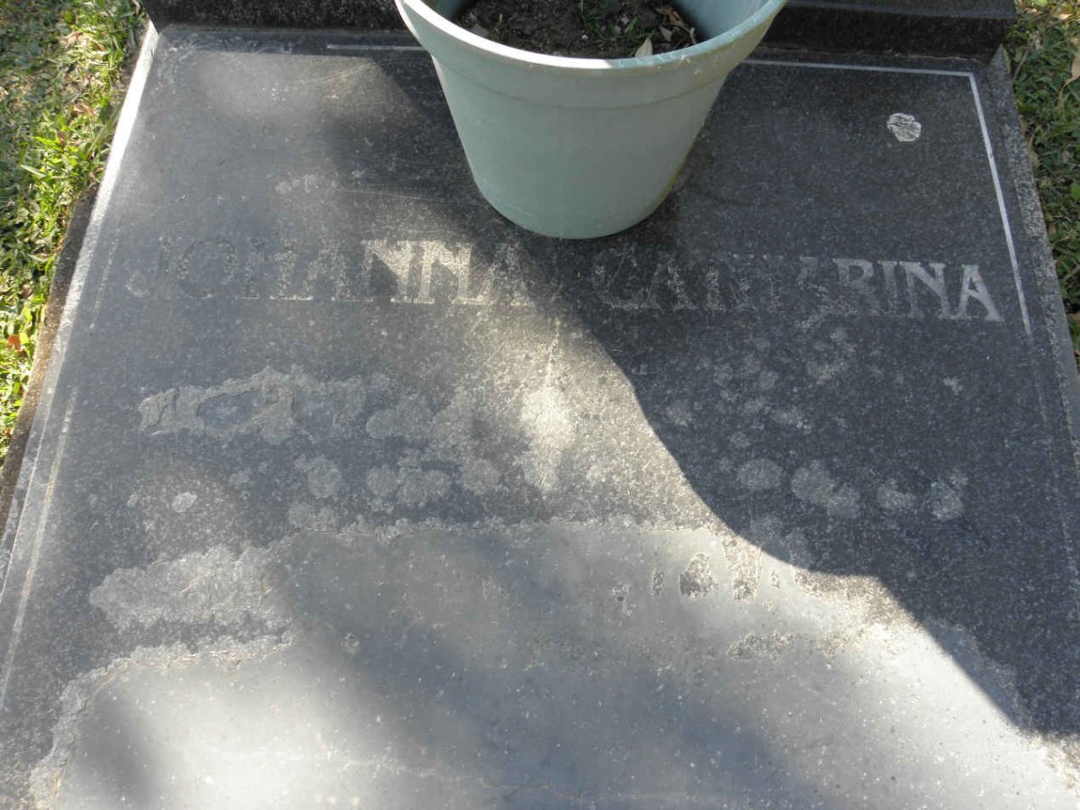 ? Johanna Catharina
