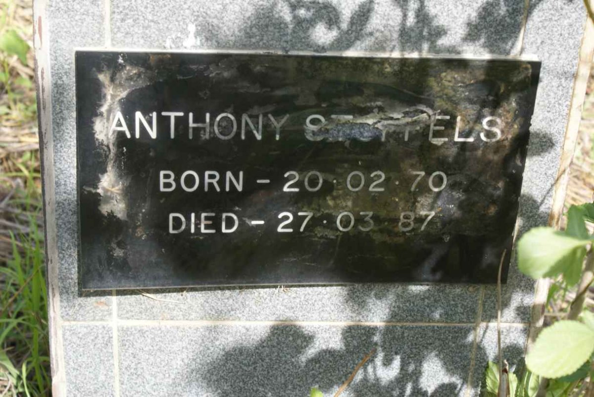 STOPPELS Anthony 1970-1987