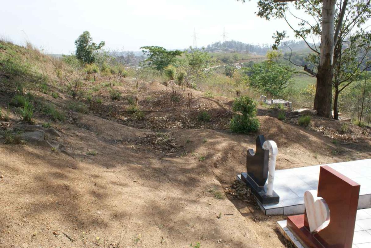 3. Overview