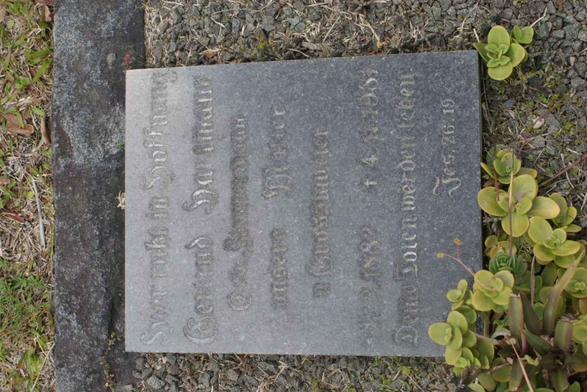 HARTMANN Gertrud nee ZIMMERMANN 1882-1981