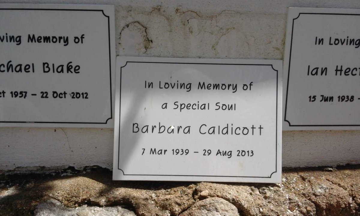 CALDICOTT Barbara 1939-2013