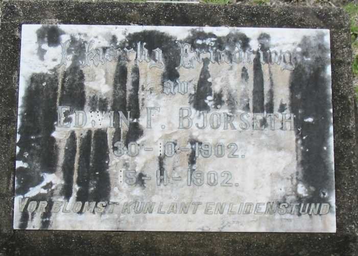 BJORSETH Edwin F. 1902-1902