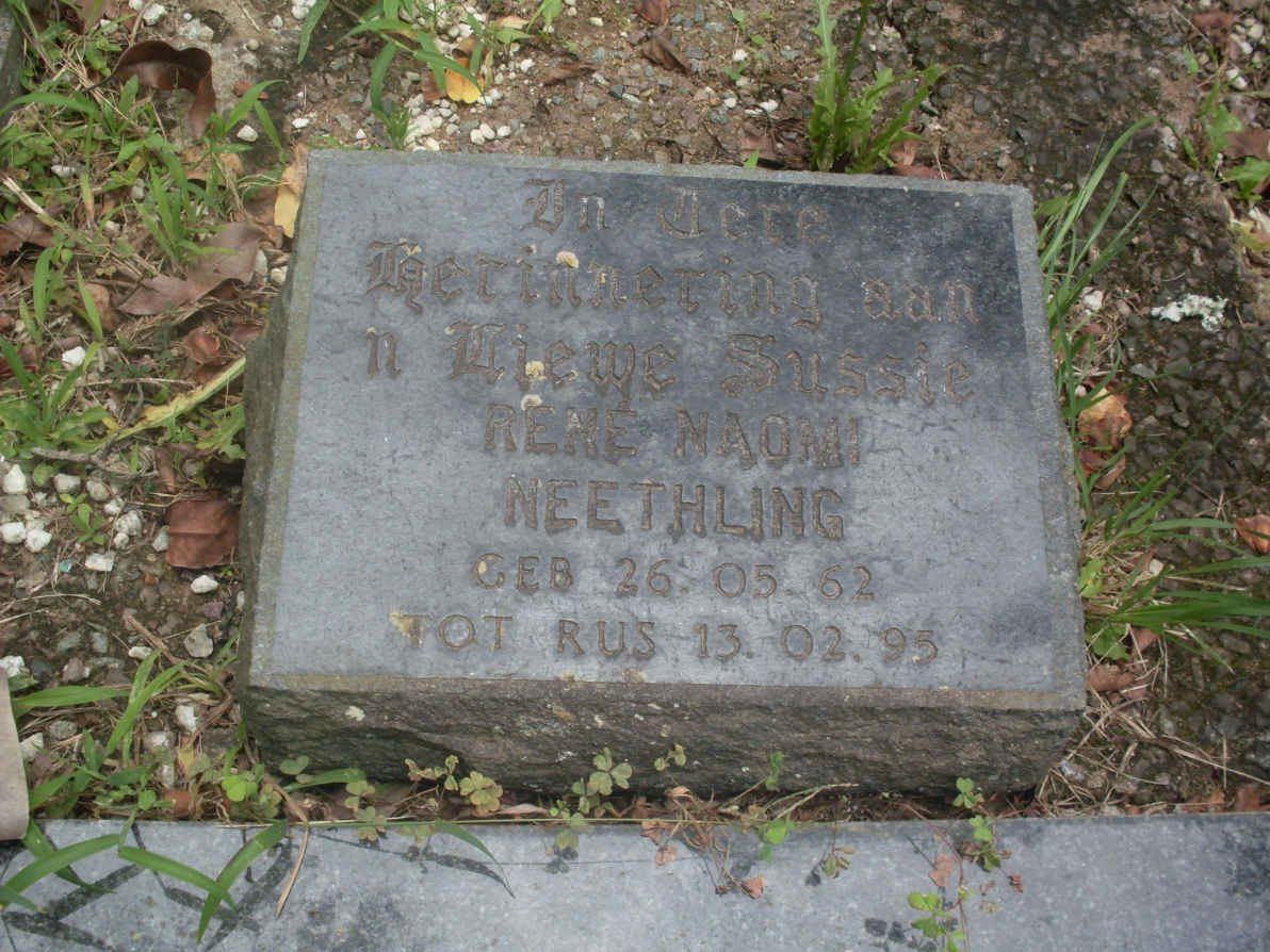 NEETHLING Rene Naomi 1962-1995