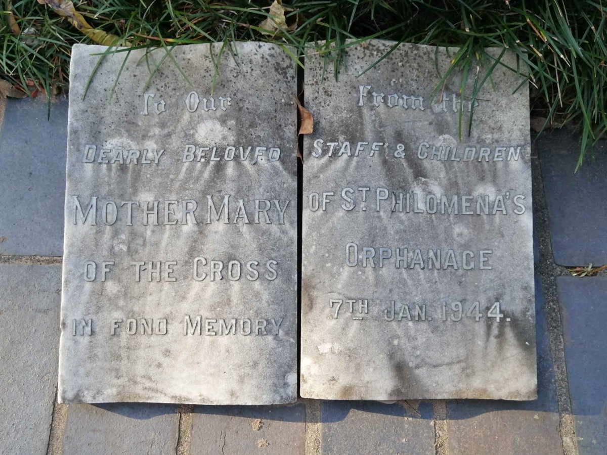 2. Plaque