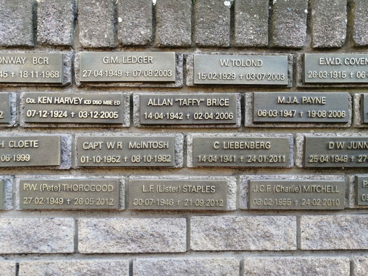 06. Plaques