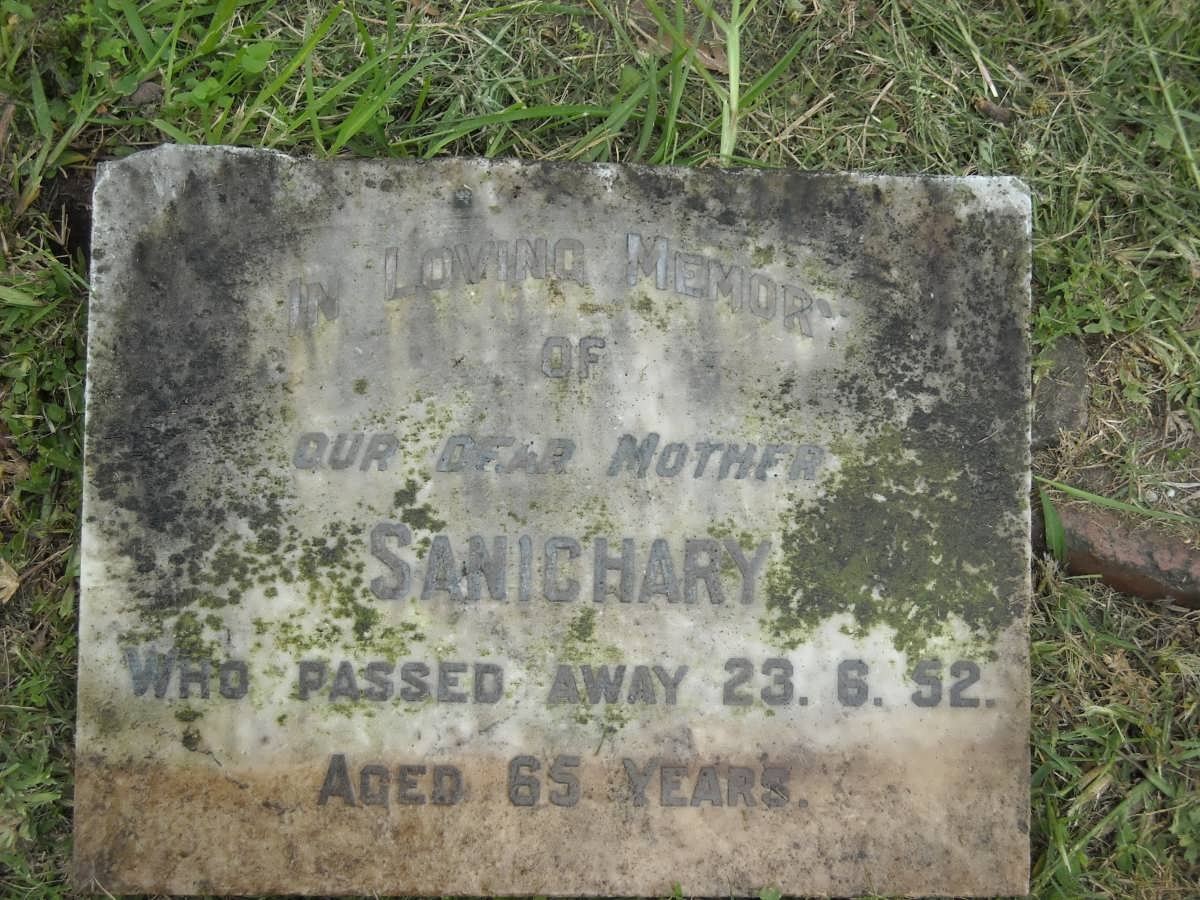 ? Sanichary -1952