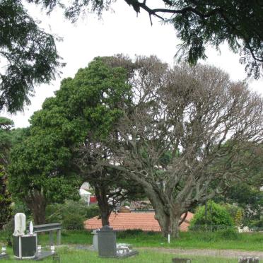 3. Overview